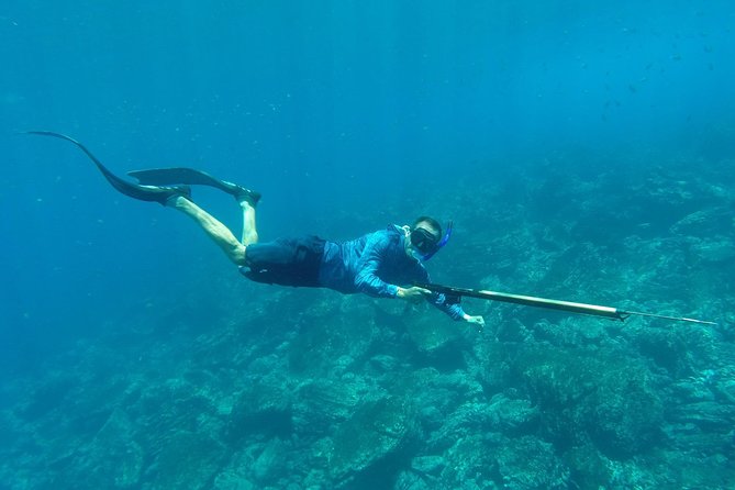 Discover Spearfishing course - Key points to know before booking