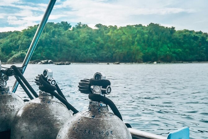 Diving tour in Isla del Caño for certified divers - Key points at a glance