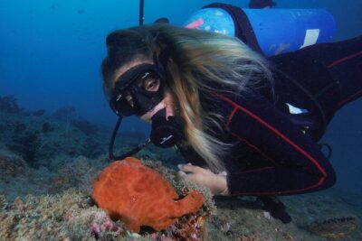 Diving tour in Isla del Caño for certified divers