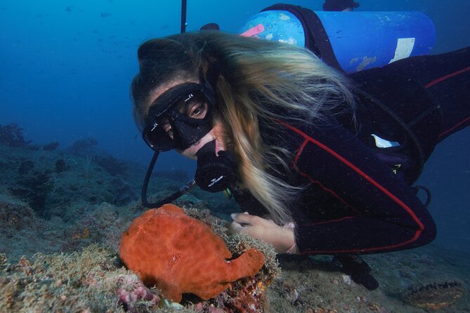 Diving tour in Isla del Caño for certified divers - The boat ride and the need for seasickness planning