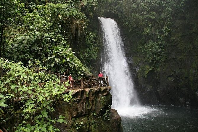 Doka Coffee Tour, Poas Volcano and La Paz Waterfall Day Trip from San Jose - Three Costa Rica highlights in one long day