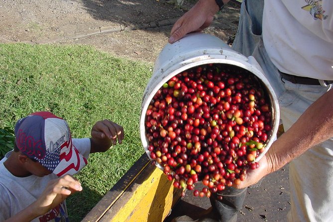 Doka Coffee Tour, Poas Volcano and La Paz Waterfall Day Trip from San Jose - Poas Volcano at 2,708 meters