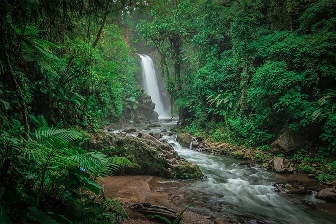 Doka Coffee Tour, Poas Volcano and La Paz Waterfall Day Trip from San Jose - Lunch, transport, and the real value of $184