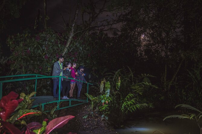 Ecogarden Arenal Night Walk - Why the forest changes after 6 p.m.