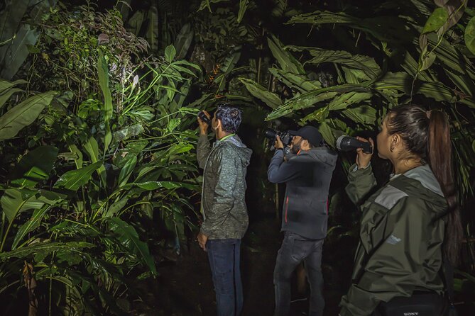 Ecogarden Arenal Night Walk - Sloths, caimans, and the larger surprises
