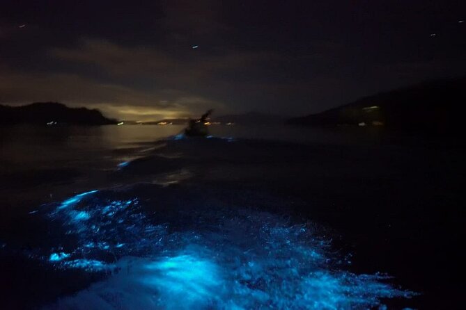 Eddy's Bioluminescence Reserve in Punta Cuchillos - Why Punta Cuchillos is special after dark