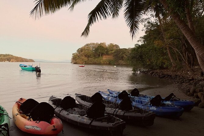 Eddy's Bioluminescence Reserve in Punta Cuchillos - Meeting Eddy at 6:15 pm