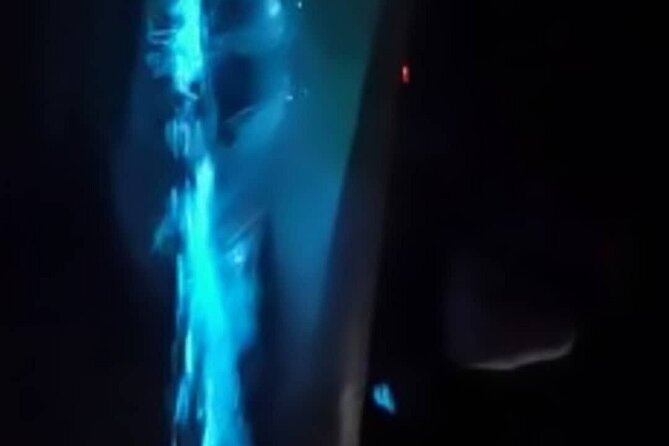 Eddy's Bioluminescence Reserve in Punta Cuchillos - Eddy’s guiding style