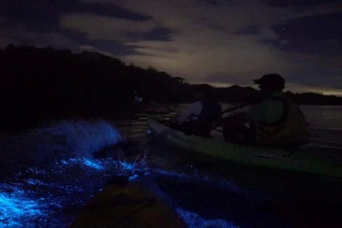 Eddy's Bioluminescence Reserve in Punta Cuchillos - Who will enjoy this most