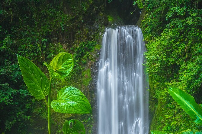 El Tigre Waterfalls Hiking Tour with Lunch and Nature Guide - Key points at a glance