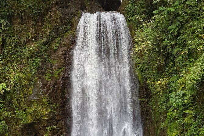 El Tigre Waterfalls Hiking Tour with Lunch and Nature Guide - What the five-kilometer trail feels like