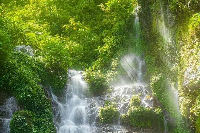 El Tigre Waterfalls Hiking Tour with Lunch and Nature Guide - What the $140 price gets you