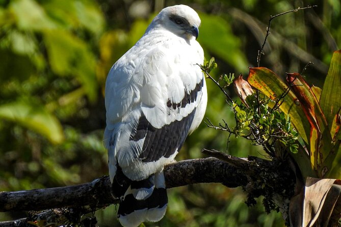 El Tigre Waterfalls Hiking Tour with Lunch and Nature Guide - Who will enjoy this outing most