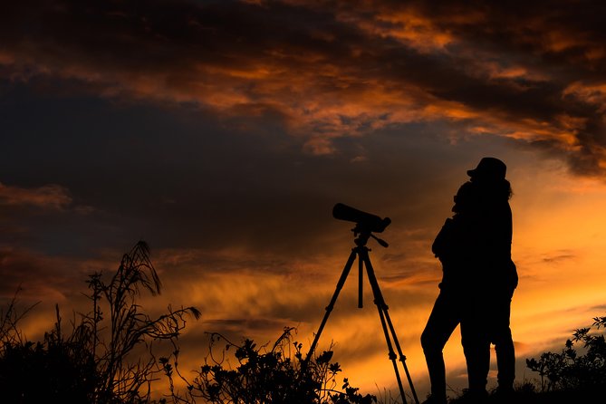 EXCLUSIVE Night Tour with Night Vision- small groups 8 people max - Key points to know before you book