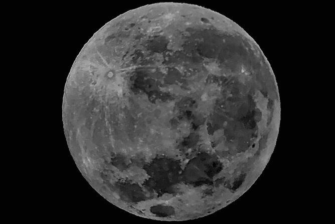 EXCLUSIVE Night Tour with Night Vision- small groups 8 people max - Why Monteverde is worth seeing after dark