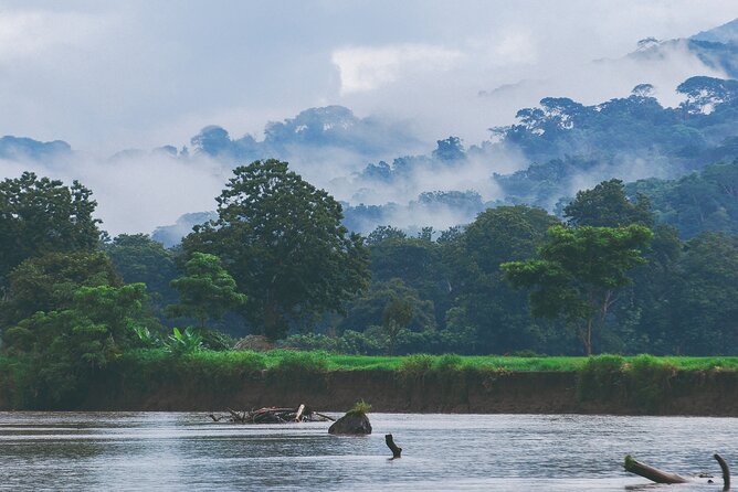 From San José: Carara National Park and Tárcoles River Tour - Should you book the Carara and Tárcoles tour?