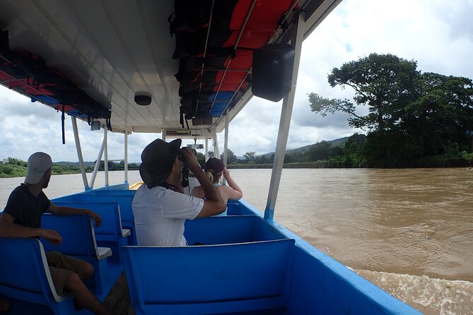 From San José: Carara National Park and Tárcoles River Tour - Tárcoles River and its crocodile-filled mangroves