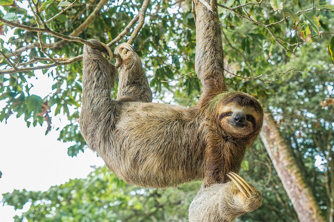 Full-Day Adventure to Manuel Antonio National Park from San Jose - What the $163 price really covers