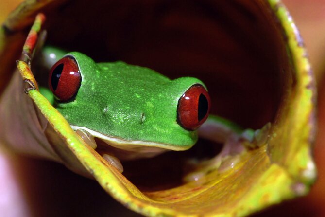 Full-Day Adventure to Manuel Antonio National Park from San Jose - Who should book this day trip?