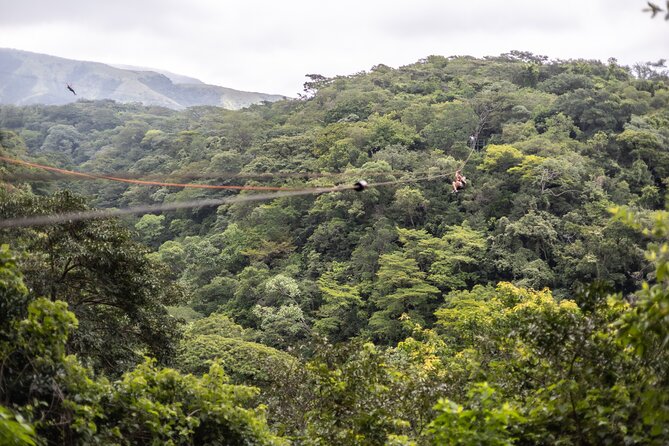 Full Day Adventure Tour - Hanging Bridges and Transitional Forest