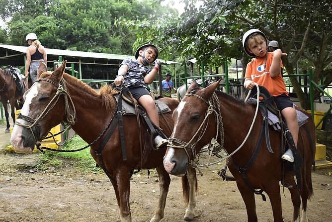 Full Day Adventure Tour - Horseback Riding Through the Forest