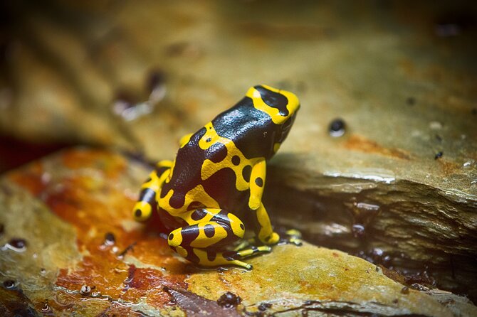 Guanacaste Rainforest Safari with Meal - Is $190 a fair price?