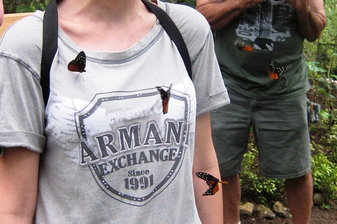 Guided Butterfly Conservatory Tour in Costa Rica - Getting to Upper El Castillo from Fortuna