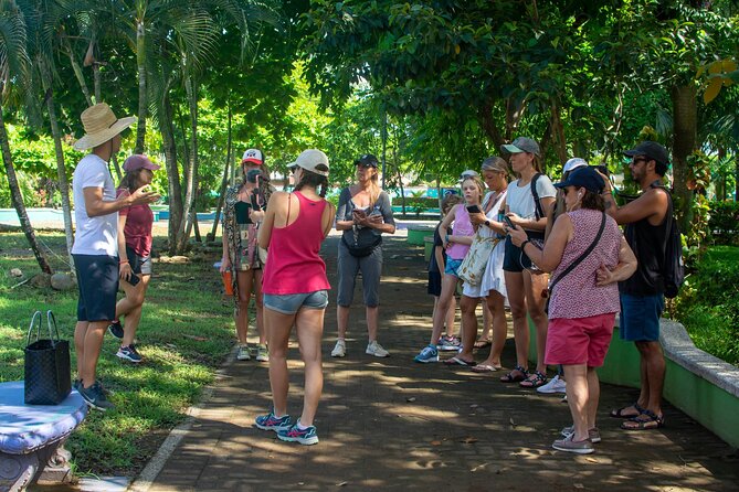 Guided Walking Street Art & Graffiti Tour in Jaco Costa Rica - Timing, comfort, and group fit