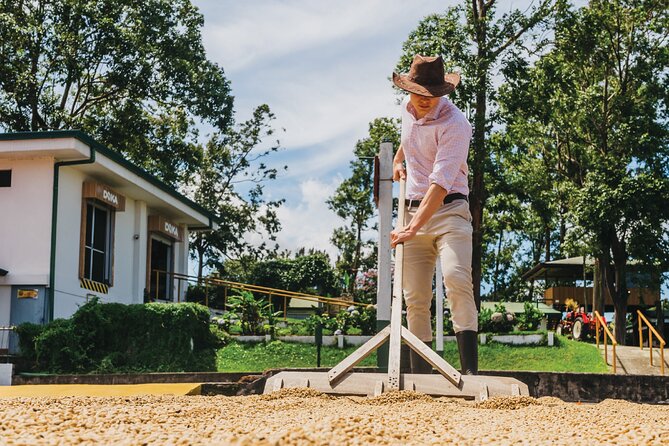 Hacienda Doka Coffee Experience Tour - The sugar mill is the uncertain part