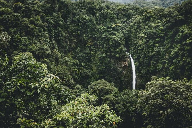Half Day Adventure from Arenal -2 tours in 1, 4 options to choose - Four ways to spend your Arenal day
