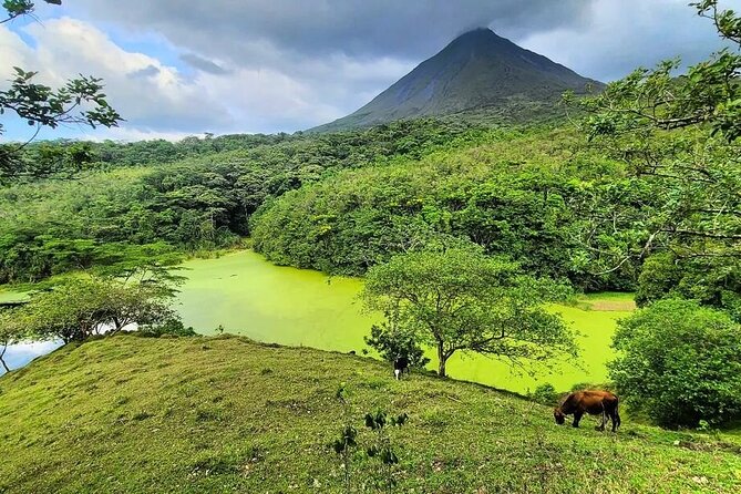 Half Day Adventure from Arenal -2 tours in 1, 4 options to choose - Choosing the right two-part combination