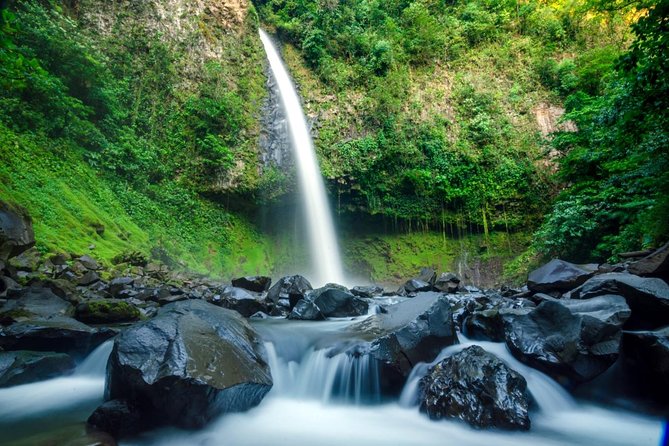 Half Day Adventure from Arenal -2 tours in 1, 4 options to choose - Hanging bridges: the best choice for wildlife watchers