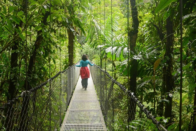 Half Day Adventure from Arenal -2 tours in 1, 4 options to choose - La Fortuna Waterfall and the stairway reality