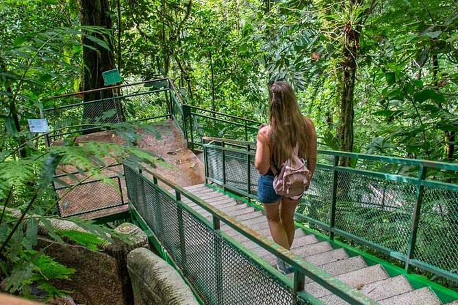 Half Day Adventure from Arenal -2 tours in 1, 4 options to choose - Mirador El Silencio and Arenal’s old lava flows