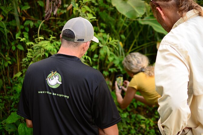 Half-Day Tour with Hanging Bridges and La Fortuna Waterfall - Walking above the rainforest at Arenal Hanging Bridges