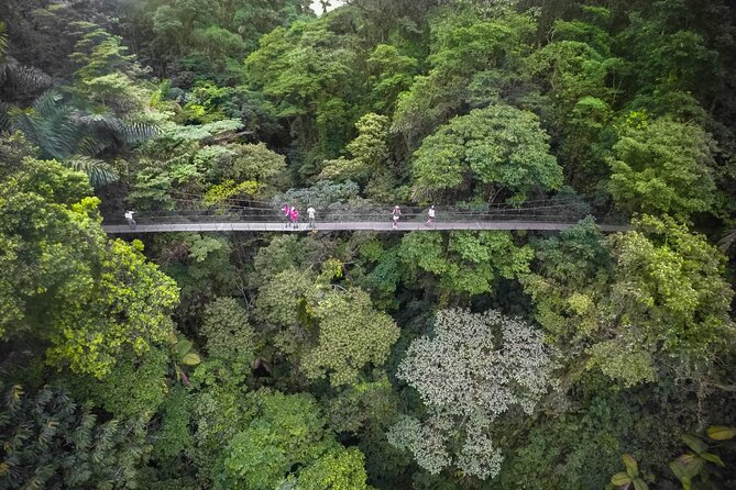 Half-Day Tour with Hanging Bridges and La Fortuna Waterfall - Who will get the most from this tour?