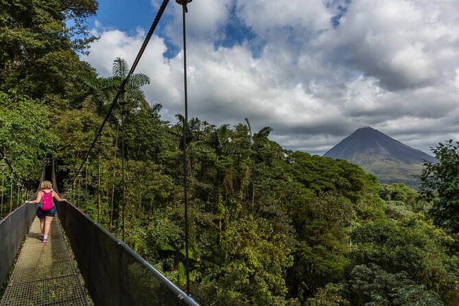 Hanging Bridges & Arenal Volcano with Lunch and Hotsprings - Why the guide can make or break the forest walk