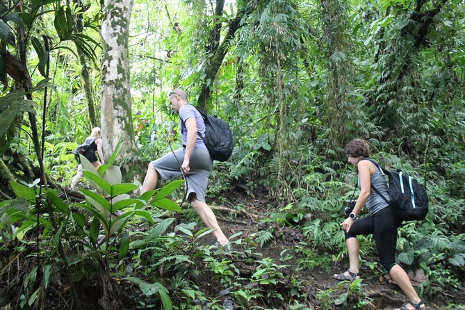 Hanging Bridges & Arenal Volcano with Lunch and Hotsprings - Arenal’s 1968 lava fields bring the volcano close
