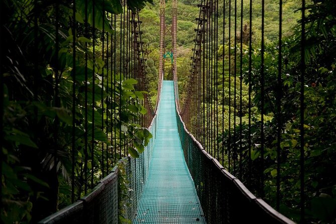 Hanging Bridges of Arenal – Guided Nature Walk with Nature - Key points to know before you go
