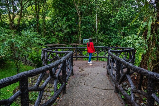 Hanging Bridges Walk in Arenal Volcano - What the two-mile route is really like
