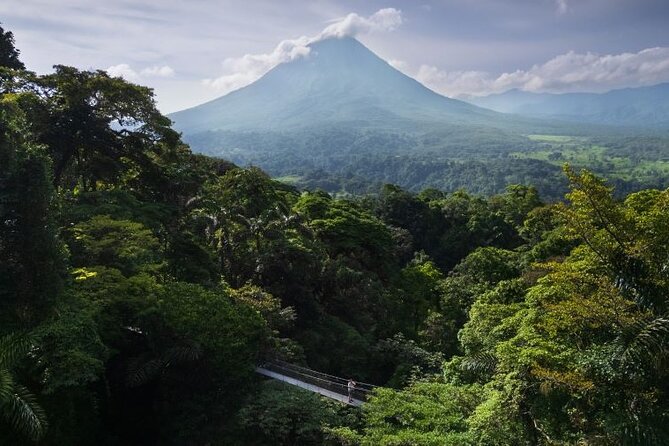 Hanging Bridges Walk in Arenal Volcano - Rain, fog, and the right expectations