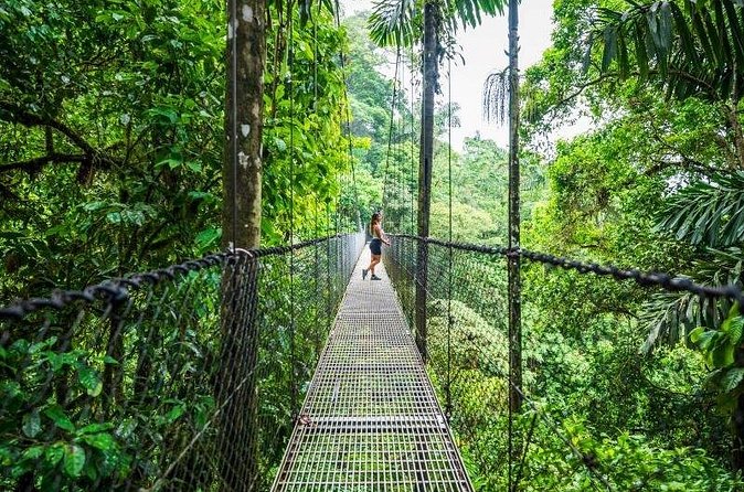 Hanging Bridges Walk in Arenal Volcano - Is the $39 price good value?