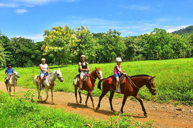 Horseback + Natural Pool Adventure in Jaco Beach and Los Suenos - The forest trail and the small waterfall