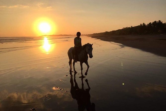 Horseback riding through the beaches of Esterillos near Jaco - Jungle views, birds, monkeys, and mosquitoes