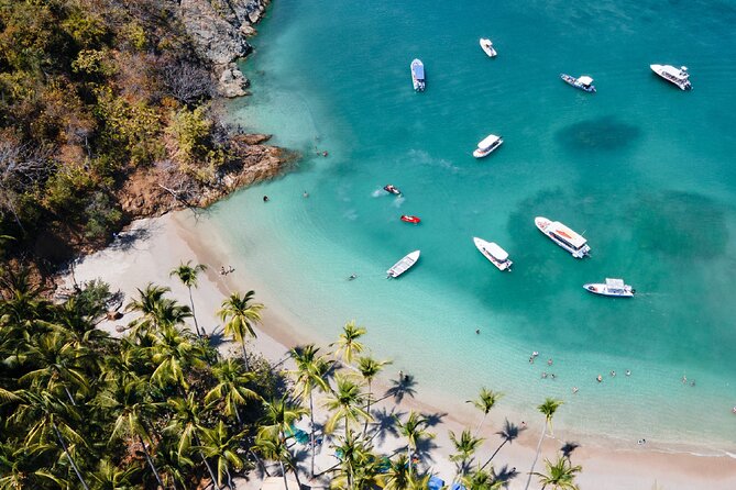 Isla Tortuga from Jacó with Lunch and transportation - Isla Tortuga’s beach and palm trees