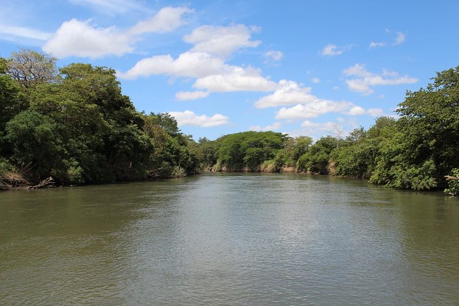 Jungle Cruise at Palo Verde National Park - What the seven-hour schedule feels like