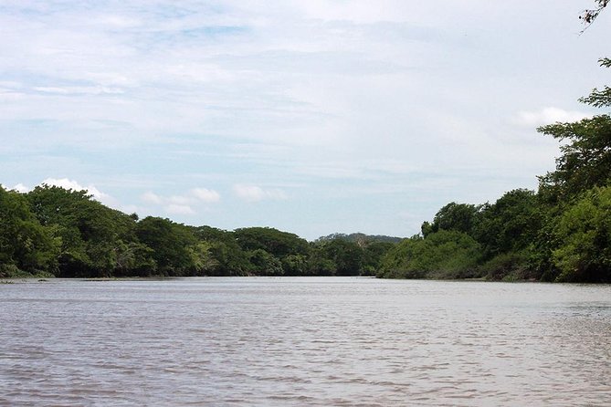 Jungle Cruise at Palo Verde National Park - Who will enjoy this most
