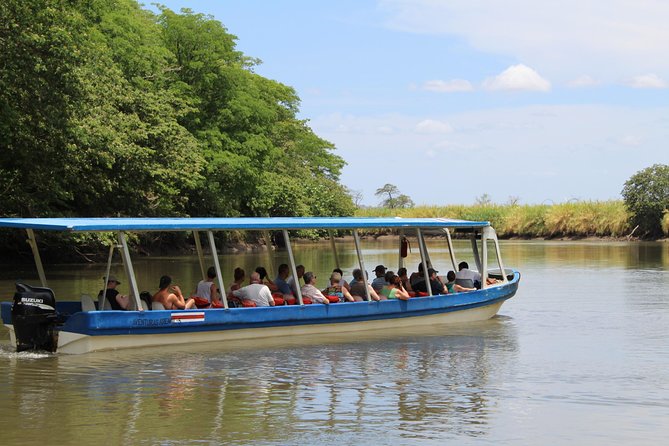 Jungle Cruise at Palo Verde National Park - The Tempisque River: crocodiles, birds, and patient boat watching