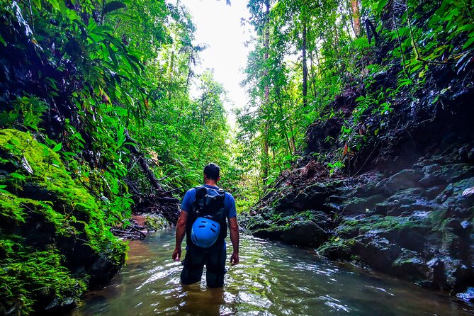 Jungle Hike with Canyoning and Rappelling in Drake Bay - A six-hour journey into Corcovado