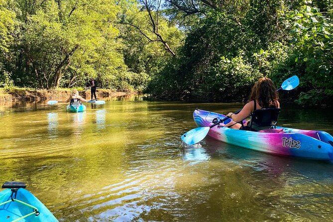 Kayak Through the Mangroves - A quiet start at Playa Pelada